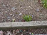 image of grave number 795011